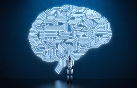 نورومورفیک در سازمان‌های هوشمند